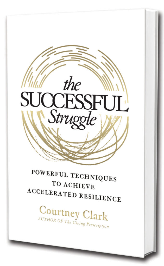 Successful Struggle Cover
